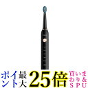 電動歯ブラシ 歯ブラシ 本体 替えブラシ 8本 口内ケア 歯磨き USB充電式 IPX7防水 (管理S) 送料無料