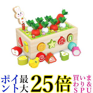 ؂̂  mߋ ^͂ t ςݖ qǂ oYj (ǗS) 