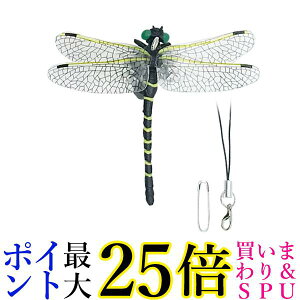 �I�j�����} �� ���ɂ��� ������ �t�B�M���A �g���{ ���� �A�E�g�h�A �L�����v �Q�� �X�g���b�v �I���� (�Ǘ�S) ��������