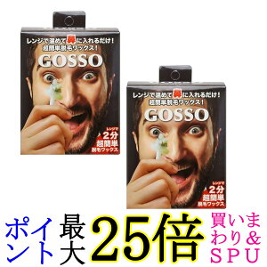 2�Z�b�g �S�b�\ �u���W���A�����b�N�X 10�� �@�ђE�уZ�b�g ���@ GOSSO ��������