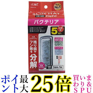 3Zbg WFbNX oNeAX}bg 5 