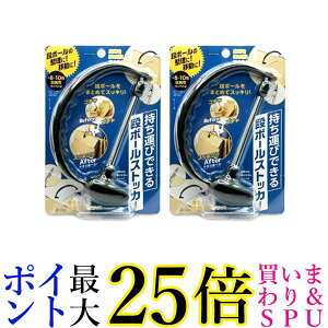 2Zbg RWbg ^тłi{[XgbJ[ S~o ֗ObY Ђʂ S~ TCN 