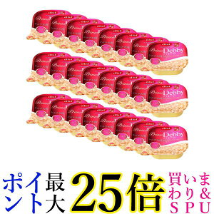 24Zbg frtybg vfrB VjAp TT~&܂y[Xg 95g 