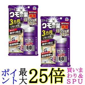 2個セット アース製薬 クモの巣消滅 1プッシュ式スプレー 屋内用 60回分 クモ 殺虫剤 送料無料