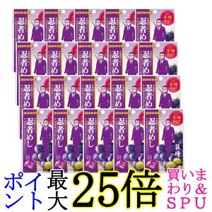 20Zbg UHAo e|ma E҂߂  20g 