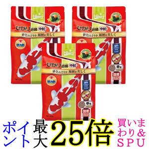 3Zbg L[ qJ ЂFg  1.2kg ̉a 