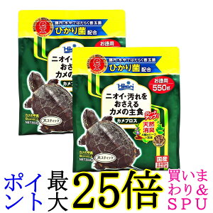 2Zbg L[ qJ Ђ JvX 550g T̃GT 