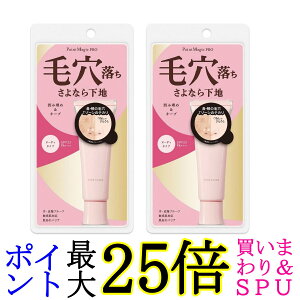 2Zbg  |Cg}WbN PRO |AJo[ C ωn 15g (x 1) 