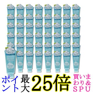 48�Z�b�g �t�@�C���g�D�f�C ����� �p�[�t�F�N�g�z�C�b�v ��p �A�N�l�P�A 120g ��������