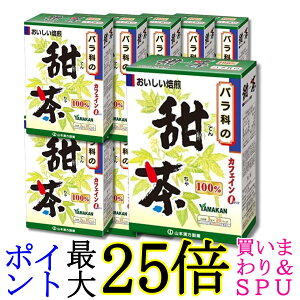 10�Z�b�g �R�{�������� �[��100% 3g×20H ��������