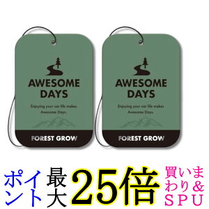 2�Z�b�g �J�[�I�[�� ������ �ԗp �F���� �I�[�T���f�C�Y �v���[�g 3�p�b�N �t�H���X�g�O���E 9gx3�� 3561 CARALL ��������
