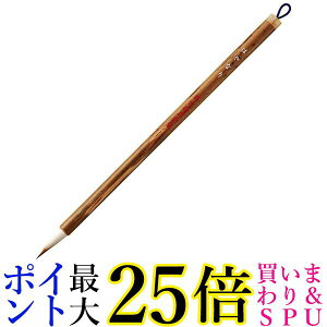 | JA320-201S ʌo ͂Ȃ уpbN  yGz