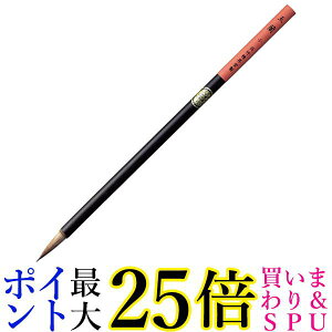 | JG306-407 npM ʗ   yGz