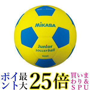 ~JT SF4J-YBL WjATbJ[ EVA 4 /  yGz