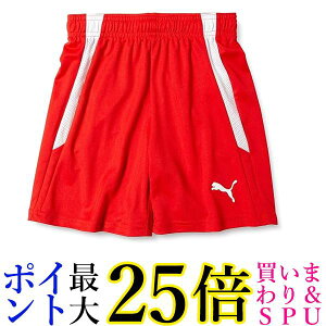 v[} TbJ[ V[gpc TEAMLIGA Q[pc JR 705145 LbY bh zCg01 140  yGz