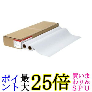 キヤノン LFM-PPS2 36 64 スタンダード普通紙2 送料無料 【G】