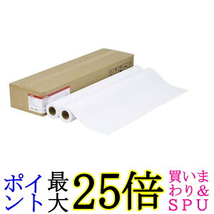 Lm LFM-PPP A0 80 v~Aʎ A0  yGz