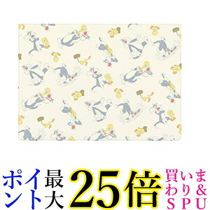 Premium Style `13.5inch m[gPCpX[uP[X [j[Ee[Y PG-W13SL03LNT  yGz