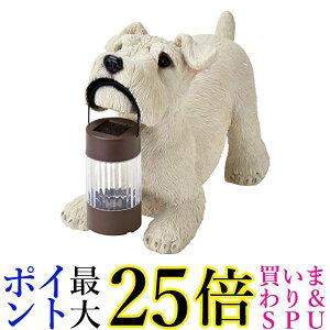 ZgNtg \[[I[ig ~j`AViEU[ SR-0890  yGz