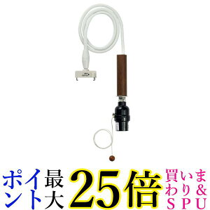 ELPA y_gCg\Pbg 1p E26 PD-011  yGz