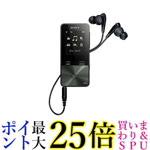 \j[ EH[N} SV[Y 4GB NW-S313 MP3v[[ BluetoothΉ ő52ԘAĐ Czt 2017Nf  yGz