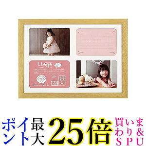 HAKUBA tHgt[ G[W Ve A4 ʃ^Cv ؐ i` FWLGC-NTA4T  yGz