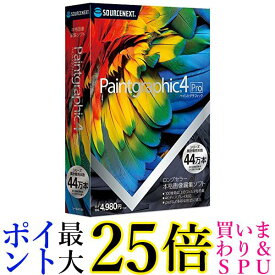 Paintgraphic 4 Pro(最新)Win対応 送料無料 【G】