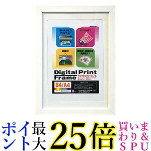 NAKABAYASHI fW^vgt[ B4 A4 zCg t-DPW-B4-W  yGz