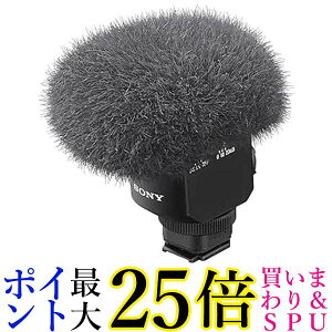 \j[ Jp EChXN[t ECM-M1  yGz