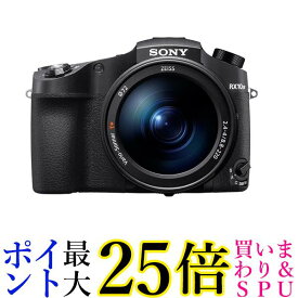 ソニー コンパクトデジタルカメラCyber-shot RX10IV ブラック DSC-RX10M4 送料無料 【G】