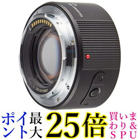 パナソニック 2.0× テレコンバーター ルミックス DMW-STC20 送料無料 【G】