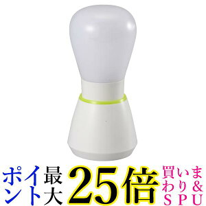 I[d@ LEDvbVCg OHM NIT-BLA6PB-WL 06-0330  yGz