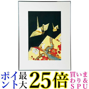 ケンコー アルミ額縁 ケンコー 画廊 アクリルタイプ A3ノビ シルバー AGR-A3N-SV-AC 送料無料 【G】