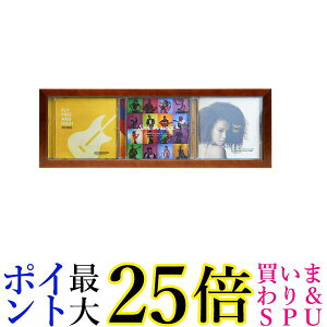 PR[ z CDfBXvCt[ CDWPbg3[\ Ru^Cv uE O460×159mm PS-CD3Y-BR  yGz