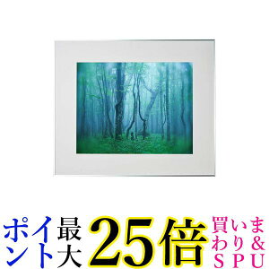 PR[ z M[ S AN^Cv A~t[ Vo[ AGY-Z-SV  yGz