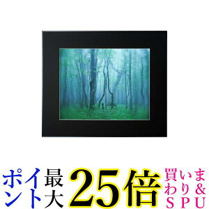 PR[ z M[ S AN^Cv A~t[ ubN AGY-Z-BK  yGz