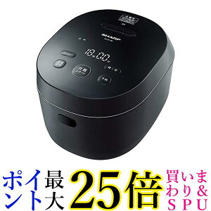 V[v ъ 5.5 IH PLAINLY ̉Ή ubN KS-HF10B-B  yGz