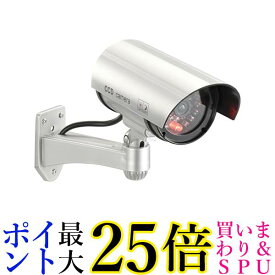 オーム monban 防犯ダミーカメラ 常時点滅 24時間点灯タイプ 乾電池式 空き巣対策 OSE-PDCW3 07-8697 送料無料 【G】