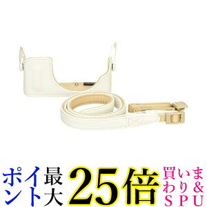 Panasonic DMW-BCSK4-W