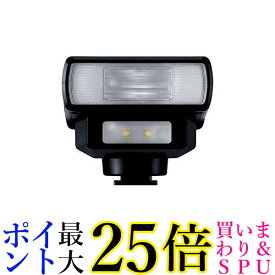 Panasonic LEDライト搭載フラッシュライト DMW-FL200L