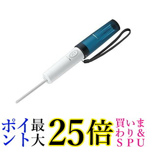 pi\jbN gїp nfBEg DL-P300-G ^[RCYO[