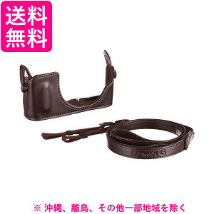 Panasonic DMW-BCSK4-T