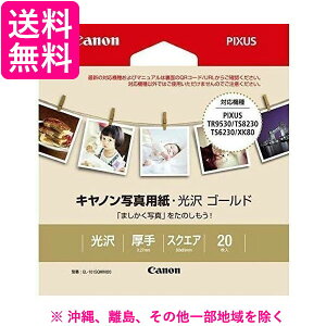 Lm ʐ^pE S[h GL-101SQMINI20(20)