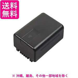 Panasonic �o�b�e���[�p�b�N VW-VBT190-K