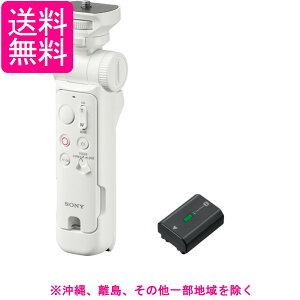 SONY(�\�j�[) ACC-VPT3ZK �A�N�Z�T���[�L�b�g(GP-VPT3 �z���C�g + NP-FZ100)