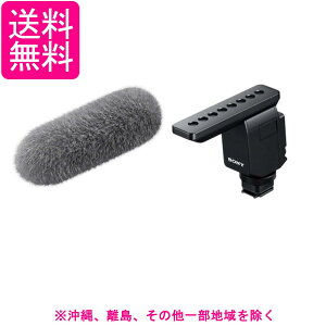 SONY(�\�j�[) �\�j�[/�J�����p�}�C�N/�V���b�g�K���}�C�N���z��/�ώw����/�E�C���h�X�N���[���t��/ECM-B1M