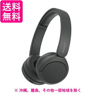 SONY ���C�����X�w�b�h�z�� WH-CH520(B)