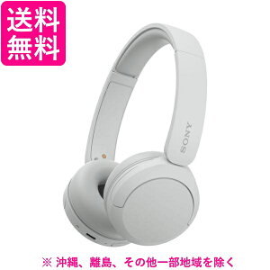 SONY ���C�����X�w�b�h�z�� WH-CH520(W)