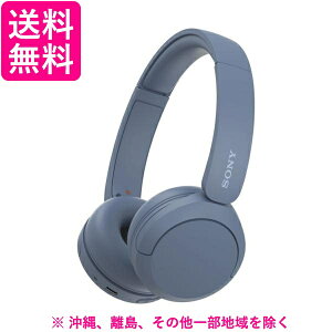 SONY CXwbhz WH-CH520(L)
