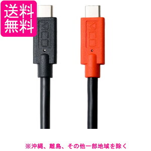 ~V MCO o20V 5AΉ USB Type-C Type-C [dEʐMP[u USB PDΉ e Marker 3m ubN UPD-230 BK